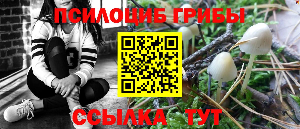 наркотики  Вход с VPN  Псилоцибиновые грибы ЛСД  Магадан  Псилоцибиновые грибы MAGIC MUSHROOMS 