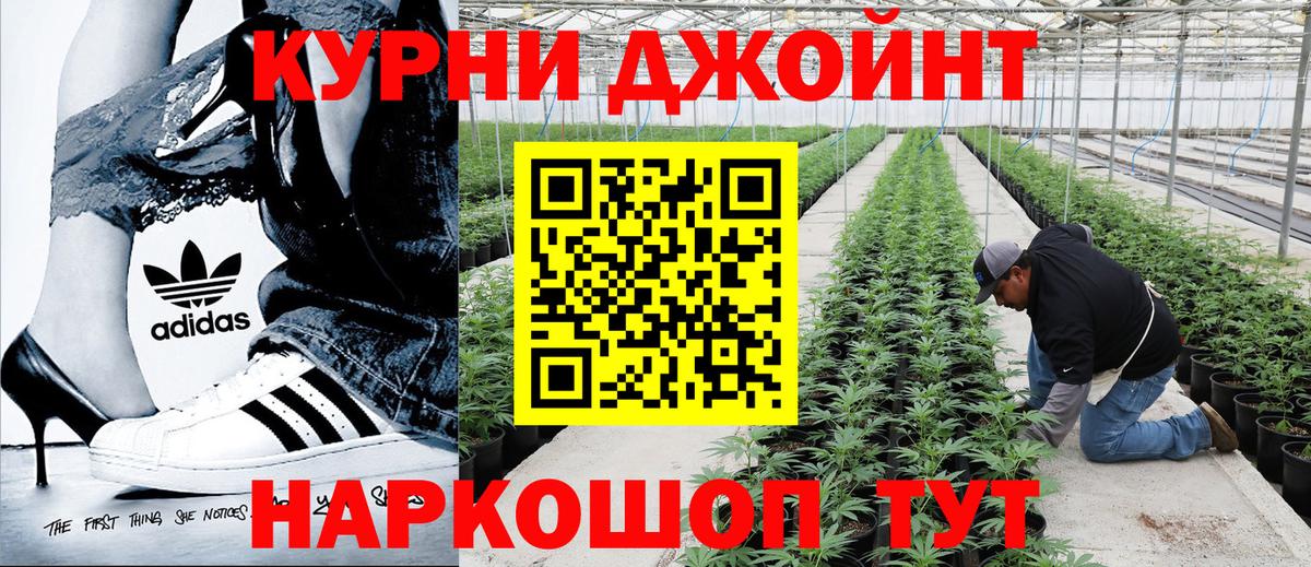 Каннабис сатива  Канабис марихуана  Вход с VPN  Магадан  Бошки марихуана MAZAR 
